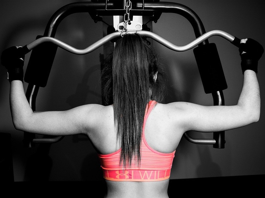 了解常用健身房器材用法，變身健身房老司機